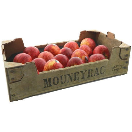 POMME ROYAL GALA MOUNEYRAC KG